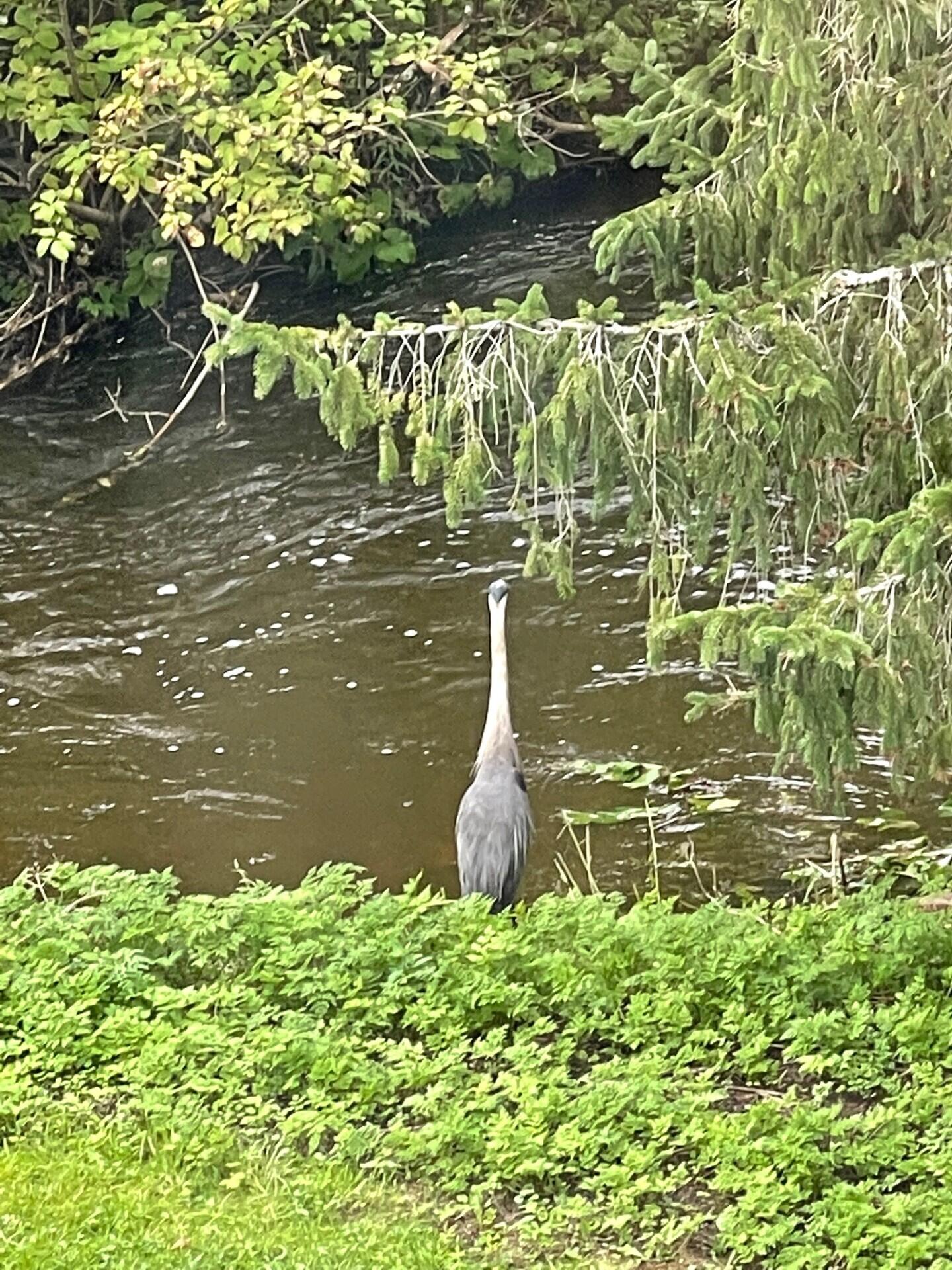 5 Chandler Court Houlton, ME 04730 - Photo 78 of 88 Crane Pic