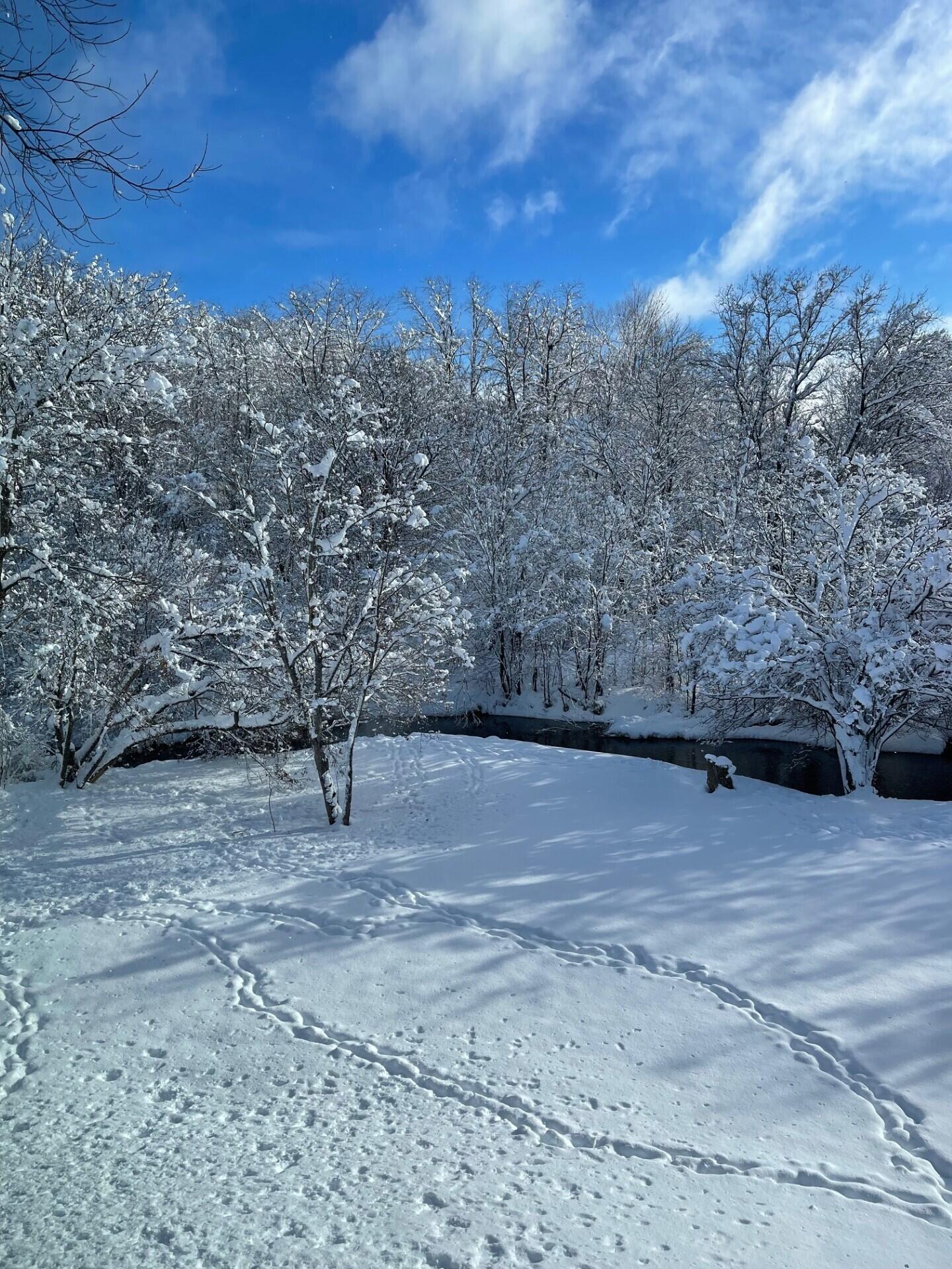 5 Chandler Court Houlton, ME 04730 - Photo 88 of 88 Winter Pic