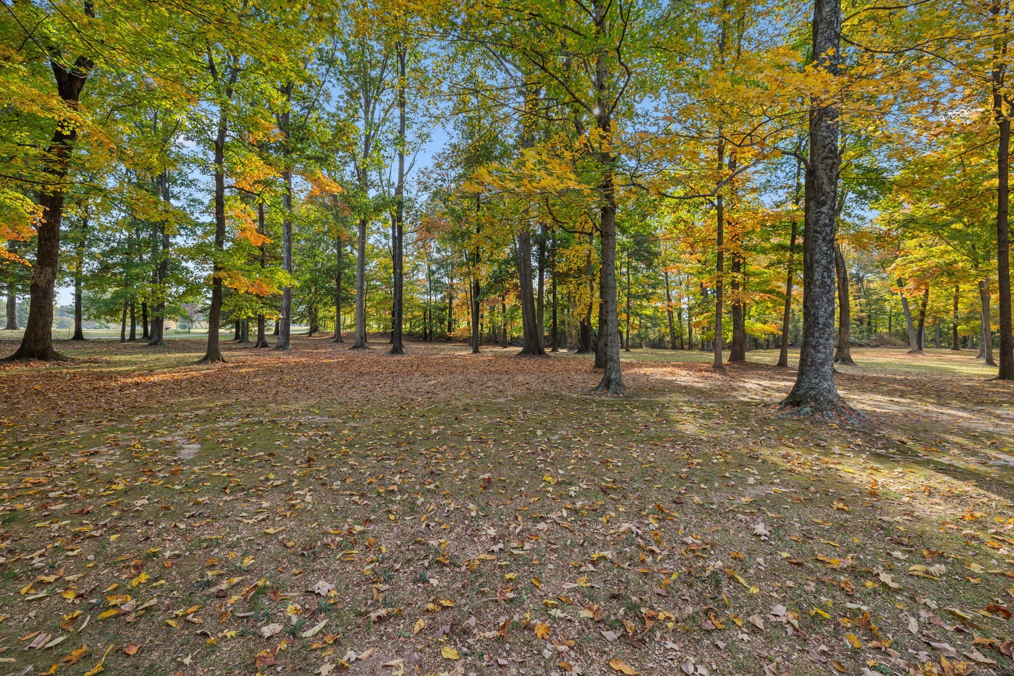 4636 Sango Road Clarksville, TN 37043 - Photo 63 of 79