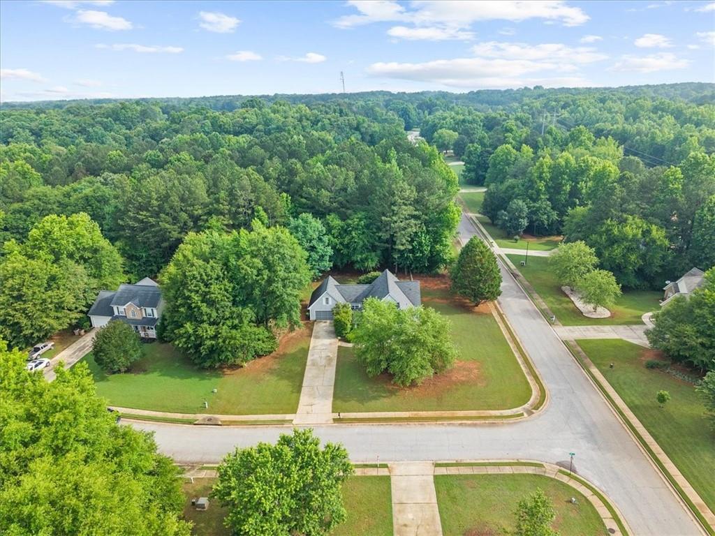 300 Cobb Court Hampton, GA 30228 - Photo 55 of 66