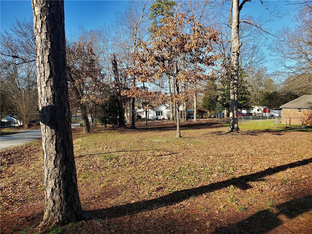 None O Neal Street Belton, SC 29627 - Photo 4 of 6
