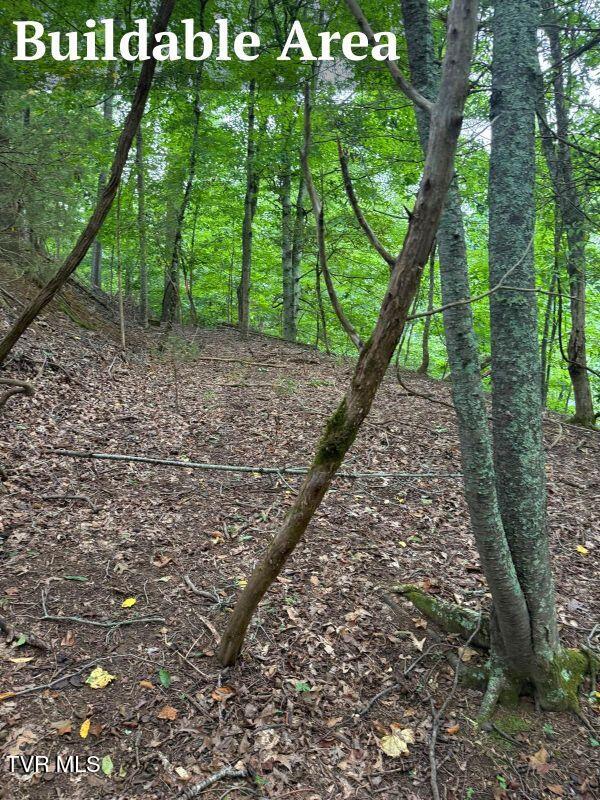 Tbd Rockingham Road Johnson City, TN 37615 - Photo 8 of 12 Buildable Area WA0011