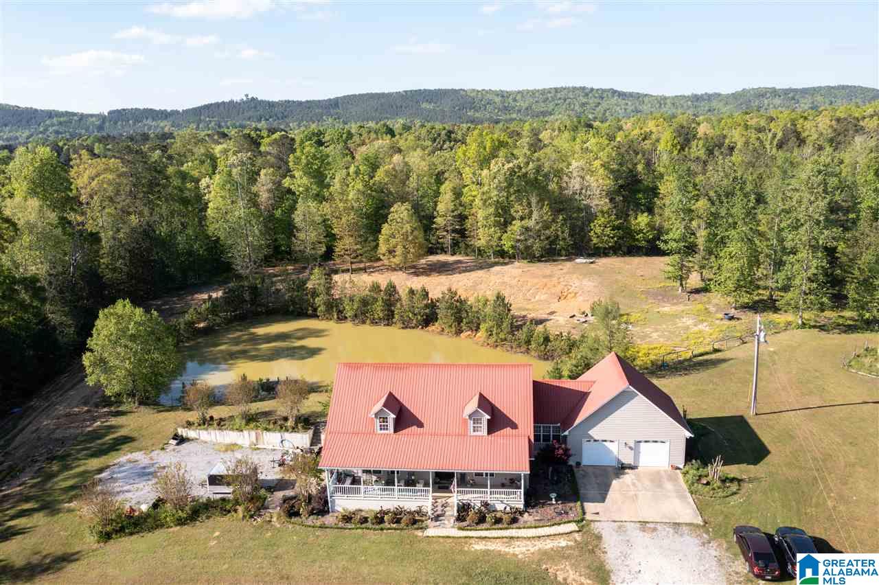 995 Mountainview Road Wellington, AL 36279 - Photo 2 of 35