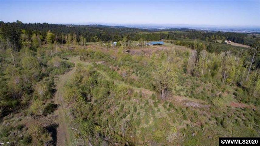 Crooked Finger (lot Road, Unit 400 & 500) Scotts Mills, OR 97375 - Photo 2 of 6