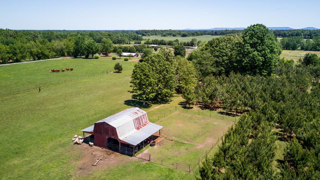 5004 Maple Springs Road Manchester, TN 37355 - Photo 8 of 22 a view of a yard with table and chairs