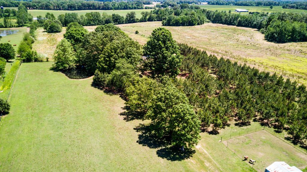5004 Maple Springs Road Manchester, TN 37355 - Photo 10 of 22 a view of a garden with a lake
