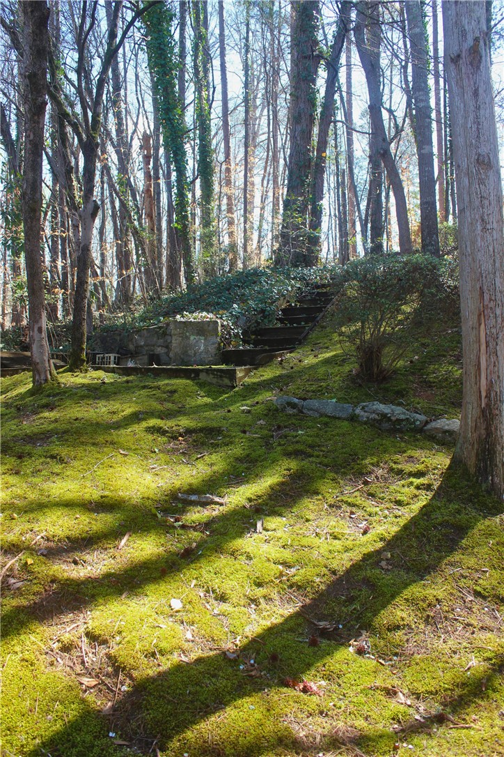104 Laurel Lane Seneca, SC 29678 - Photo 34 of 34 This serene wooded landscape features natural stone stairs leading through vibrant mossy terrain.