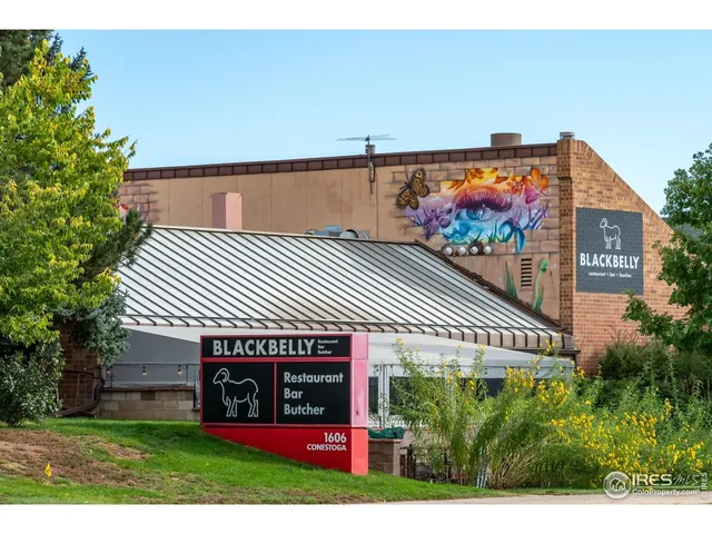 a view of city and mountain