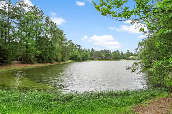 a view of backyard with green space