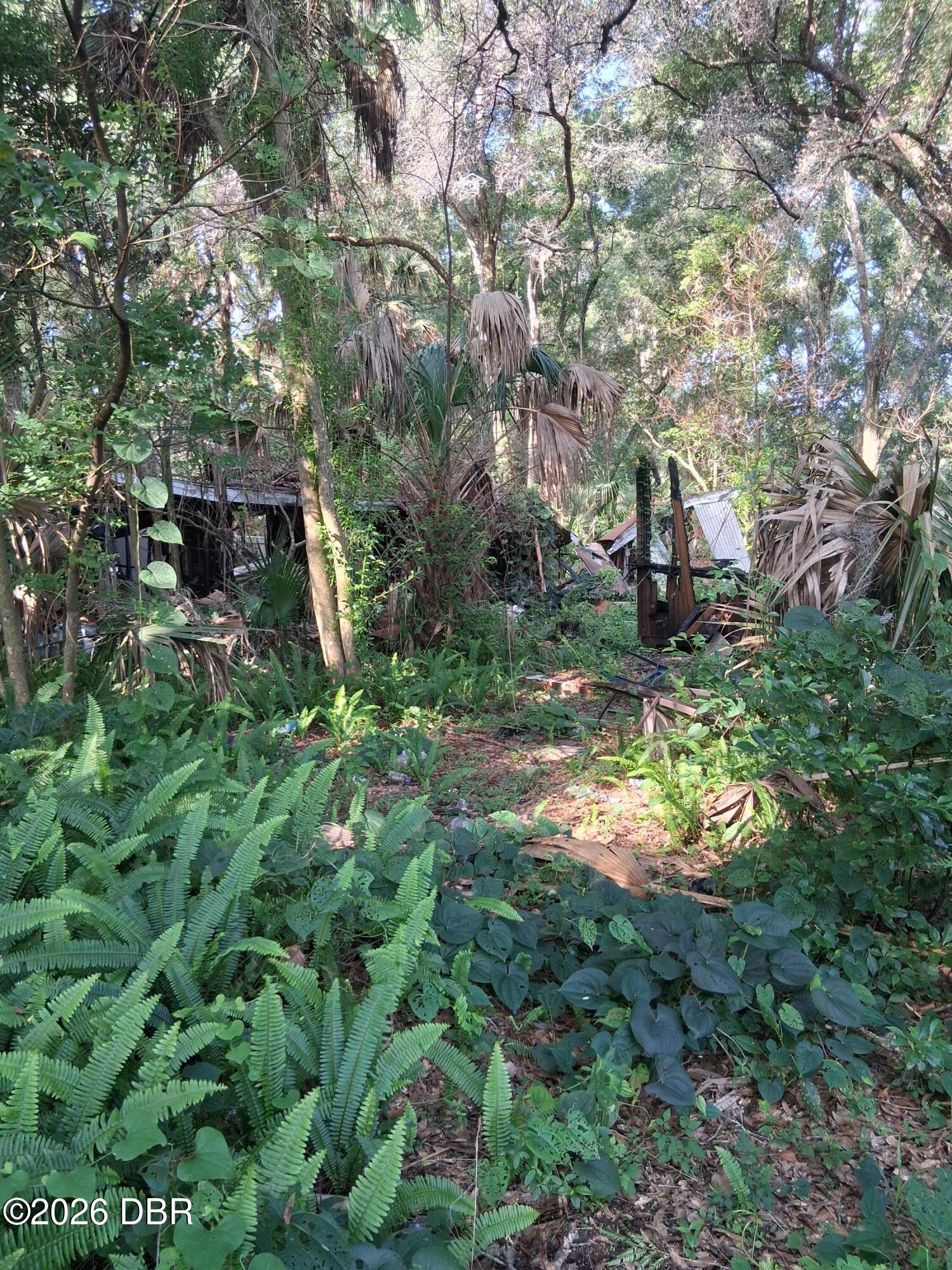 481 Shell Harbor Road Pierson, FL 32180 - Photo 14 of 15 1000010949