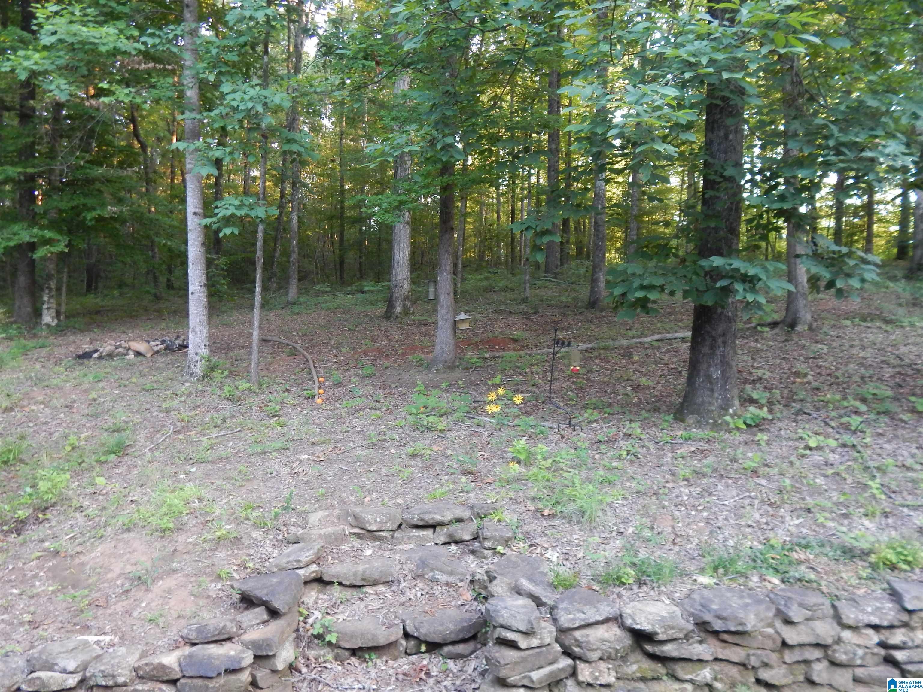 385 Raywood Drive Woodstock, AL 35188 - Photo 16 of 27