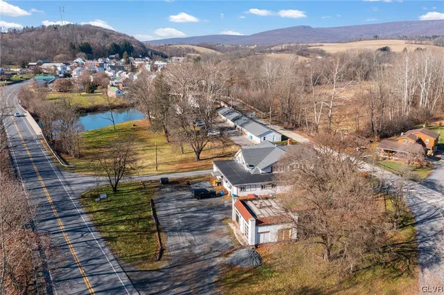 a view of a dry yard with trees