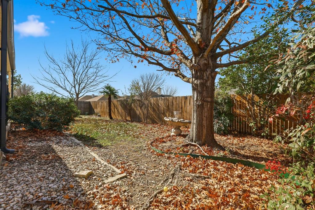 1305 Rye Glen Drive Midlothian, TX 76065 - Photo 34 of 36