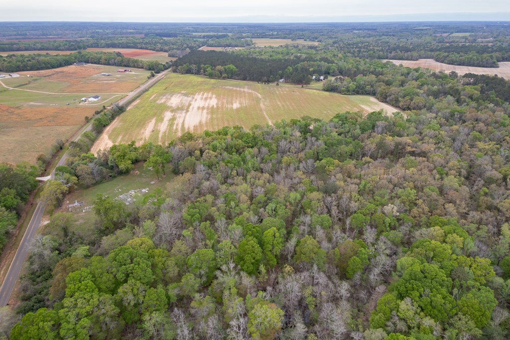 3-acres Singletary Road Slocomb, AL 36375 - Photo 5 of 15