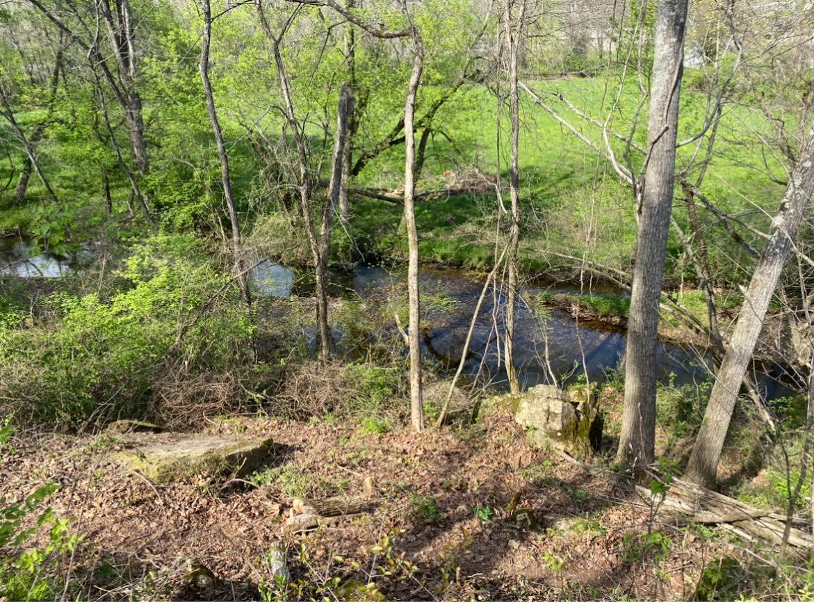 0 South State Highway Springfield, MO 65809 - Photo 1 of 1 Turner Creek