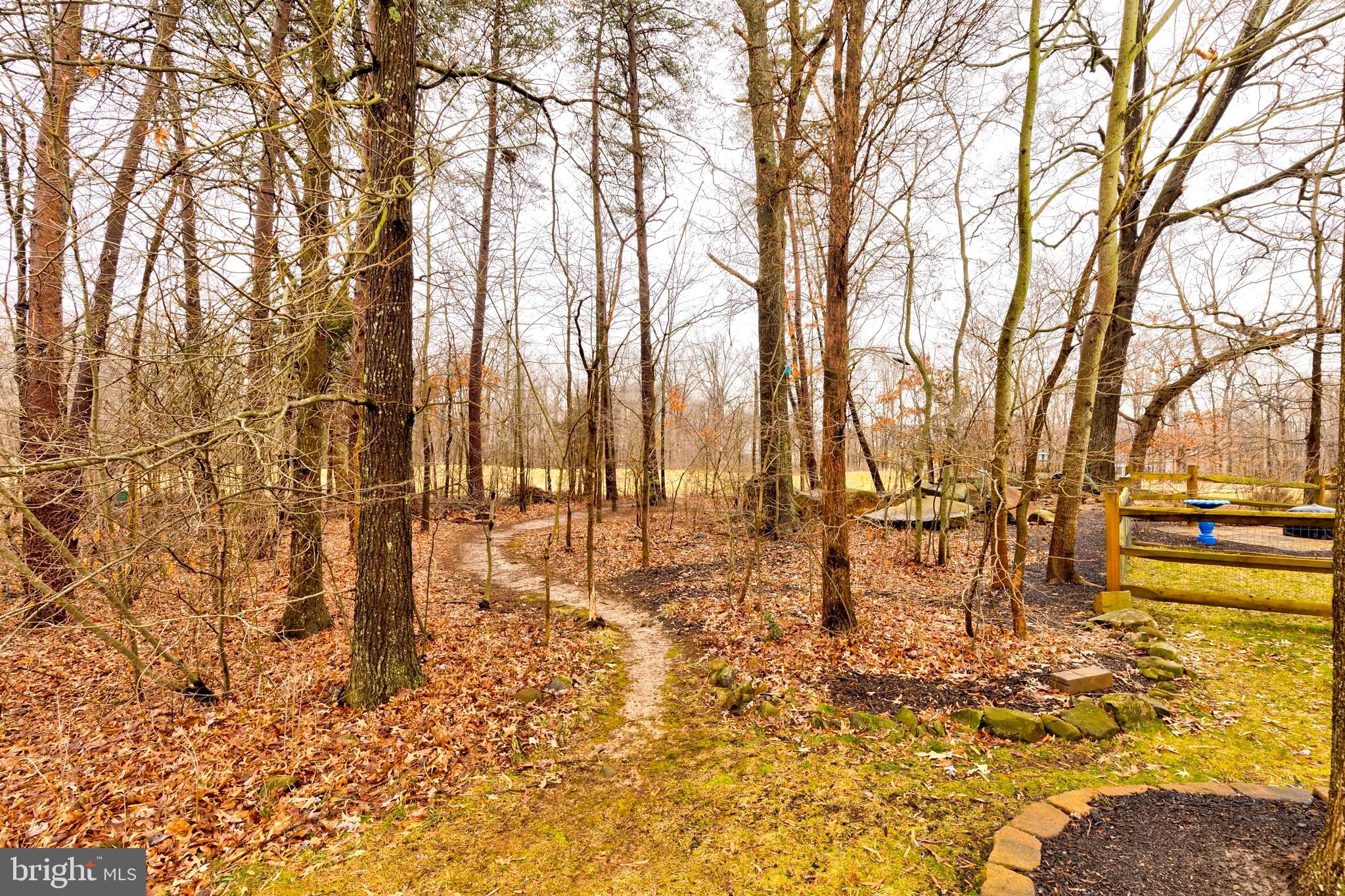 14413 Clubhouse Road Gainesville, VA 20155 - Photo 55 of 59 Natural Preserve Next to Backyard