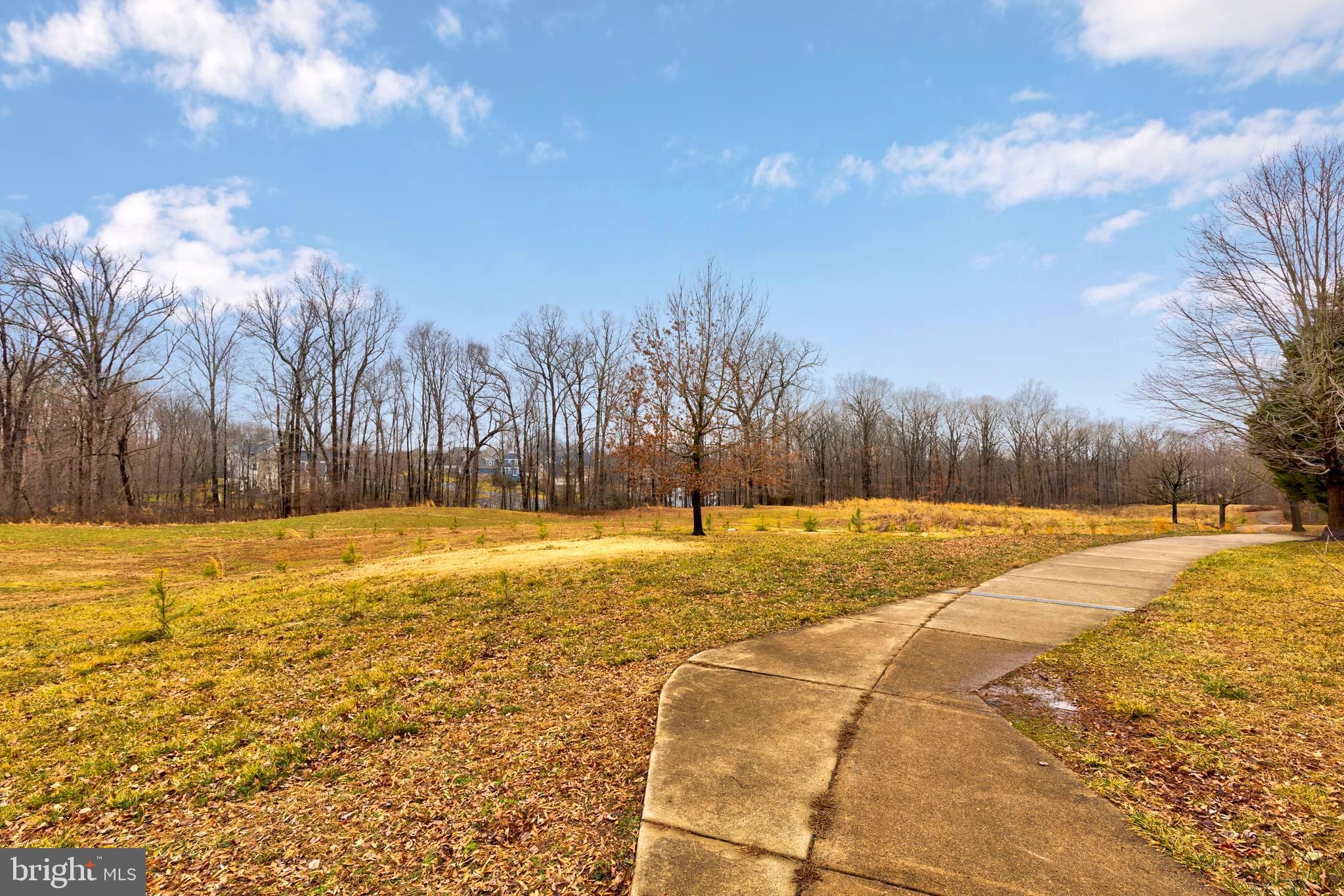 14413 Clubhouse Road Gainesville, VA 20155 - Photo 56 of 59 Walking Path Off the Backyard