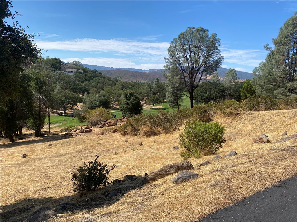 a view of a yard with snow on the road