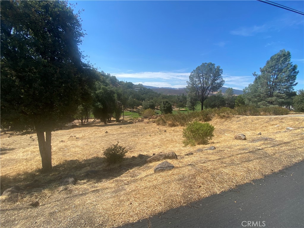 20169 Powder Horn Road Hidden Valley Lake, CA 95467 - Photo 2 of 4 a view of a yard with a lake view