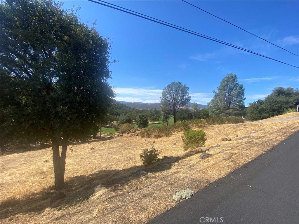 20169 Powder Horn Road Hidden Valley Lake, CA 95467 - Photo 4 of 4 a view of a yard