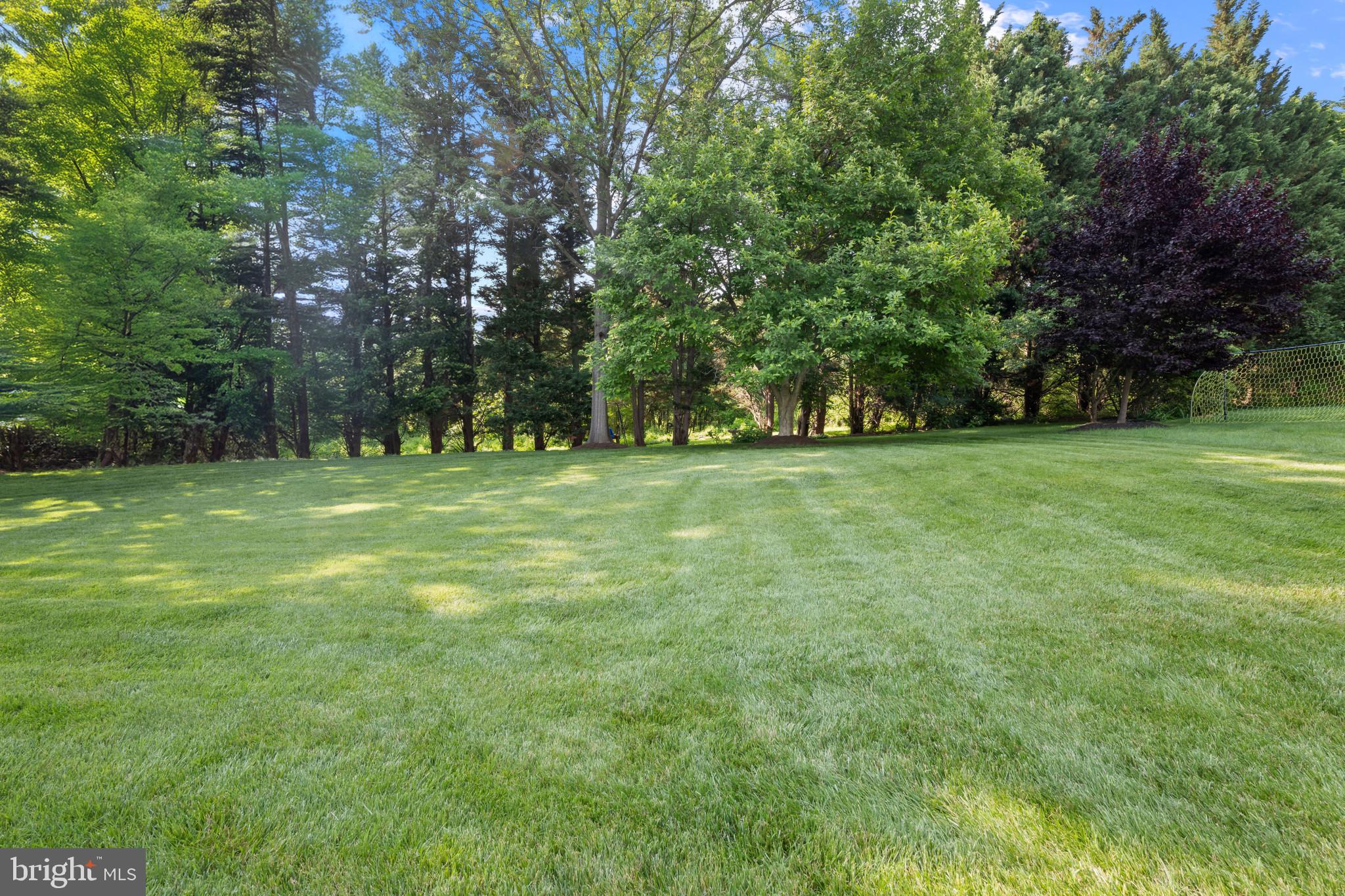 8328 Sand Cherry Lane Laurel, MD 20723 - Photo 25 of 59