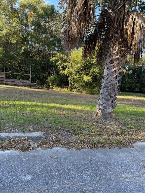 0 Fluker Street Waycross, GA 31501 - Photo 2 of 2