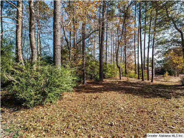 504 Fieldstone Drive Helena, AL 35080 - Photo 30 of 32