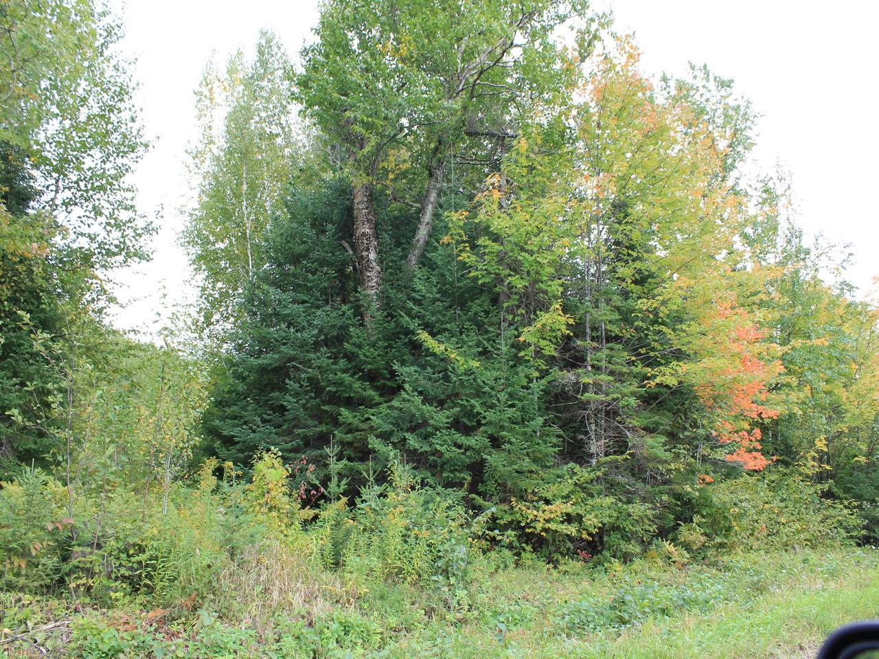 Three Ten Road, Unit LOT 25 Mercer, WI 54547 - Photo 1 of 15 Gallery Image 1