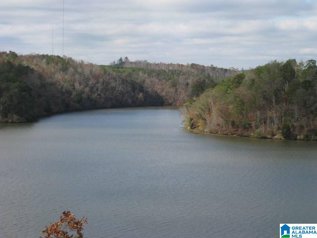 433 Riverview Road Adger, AL 35006 - Photo 4 of 42