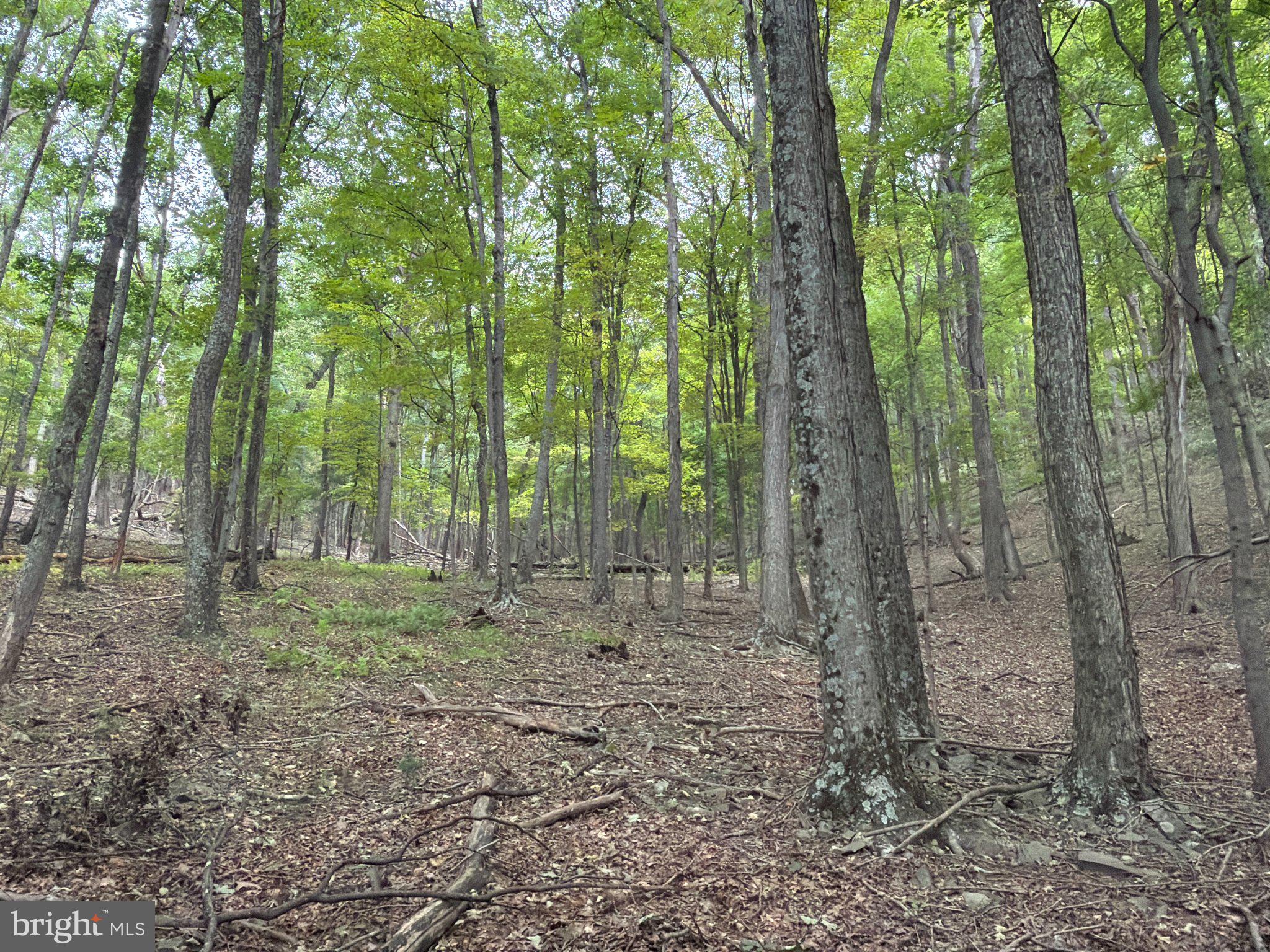 24200 East Hancock Road Flintstone, MD 21530 - Photo 91 of 126 Gallery Image 91