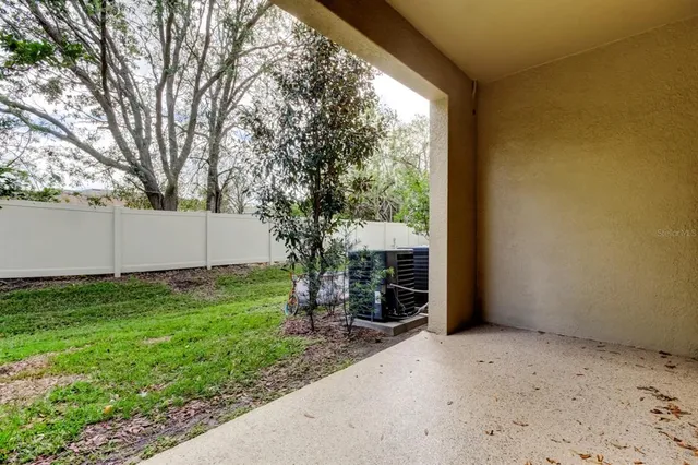 a view of a backyard with plants and a large tree