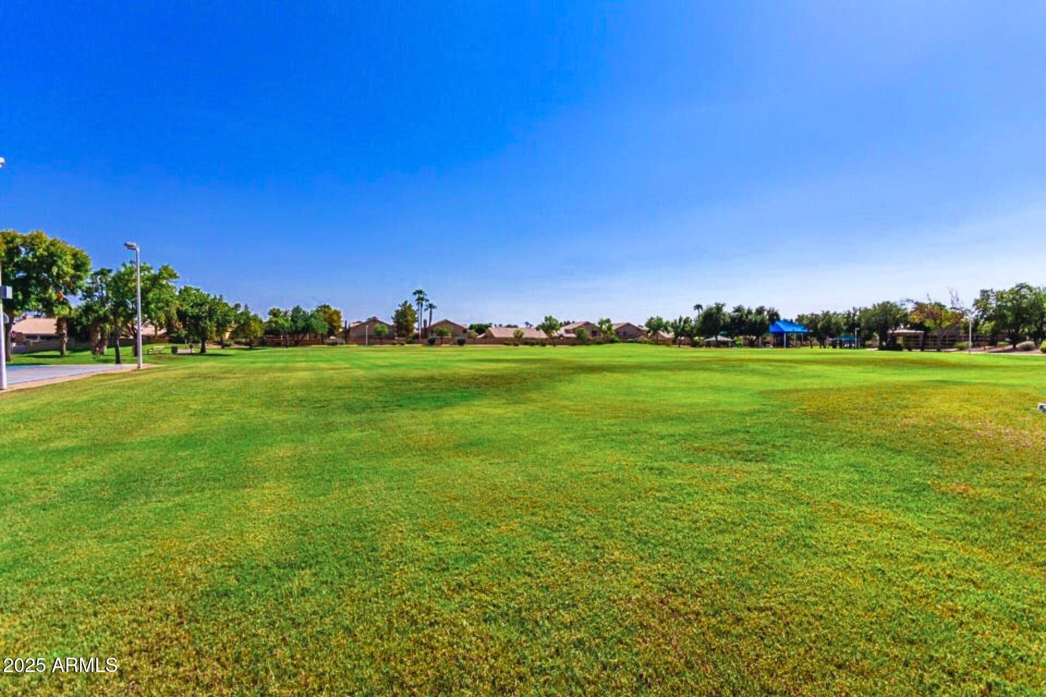 1115 South Tiago Drive Gilbert, AZ 85233 - Photo 21 of 22 a view of a grassy field with trees