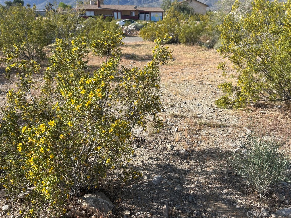 32410 Sapphire Road Lucerne Valley, CA 92356 - Photo 7 of 8 a view of a yard with pathway
