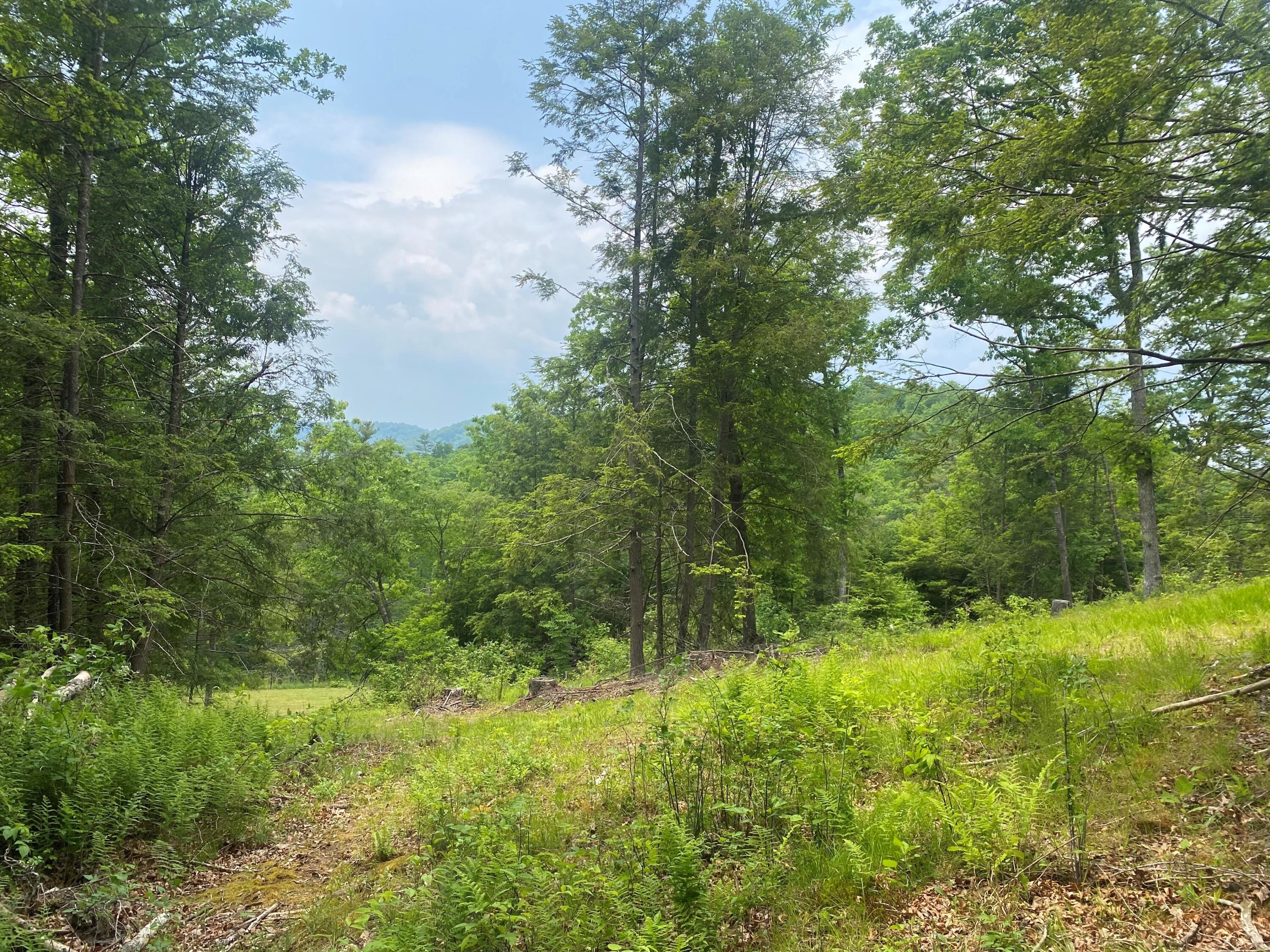 Curry Road Dunmore, WV 24934 - Photo 1 of 10 Gallery Image 1