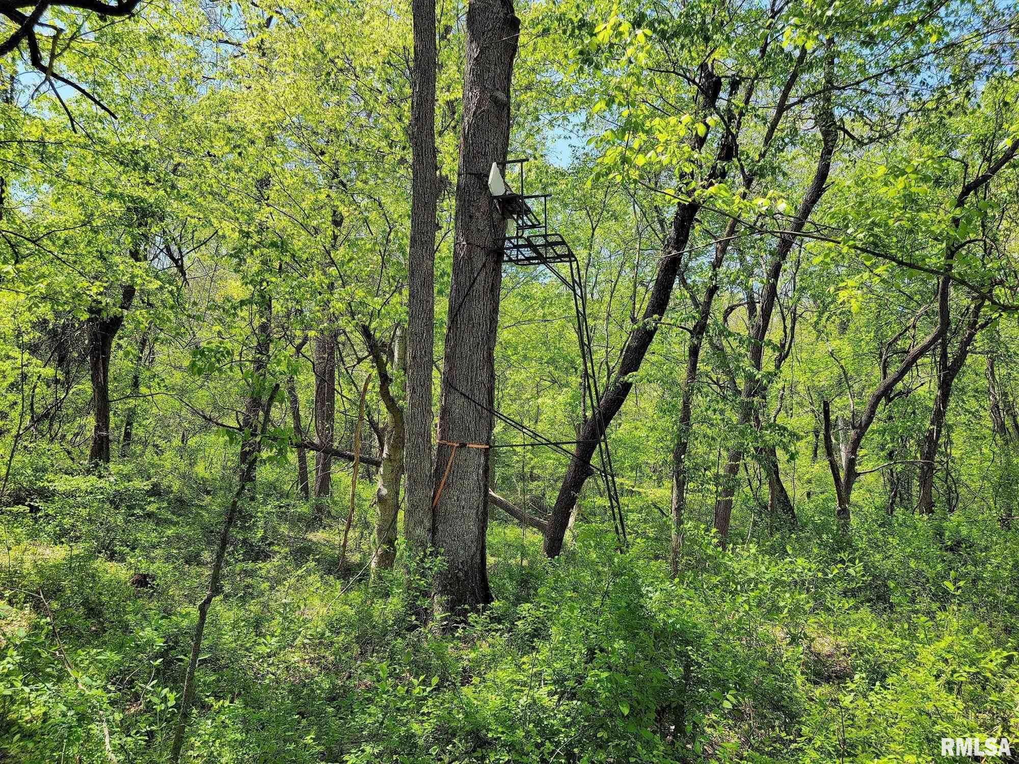 242 Simpson Road Cave-In-Rock, IL 62931 - Photo 21 of 26 Gallery Image 21