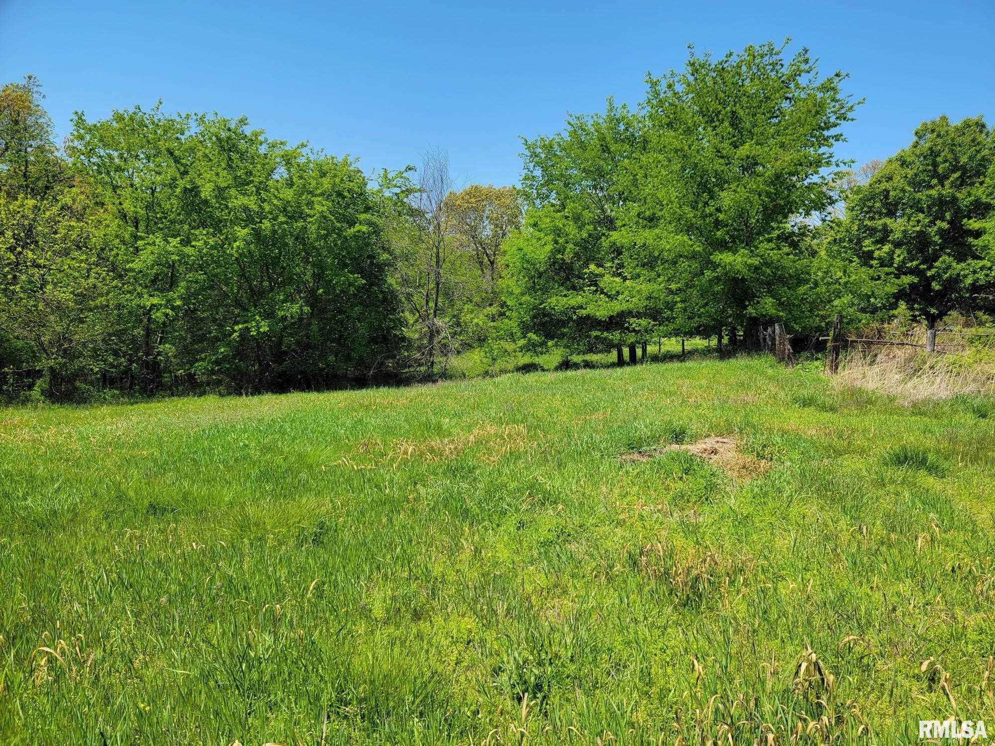242 Simpson Road Cave-In-Rock, IL 62931 - Photo 4 of 26 Gallery Image 4