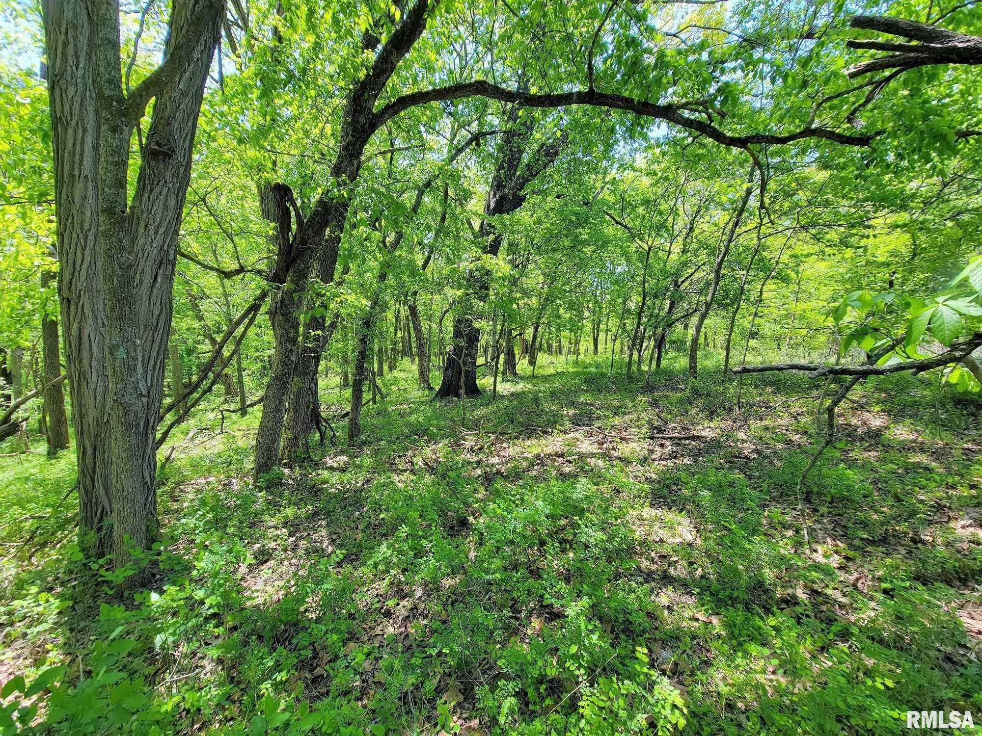 242 Simpson Road Cave-In-Rock, IL 62931 - Photo 7 of 26 Gallery Image 7