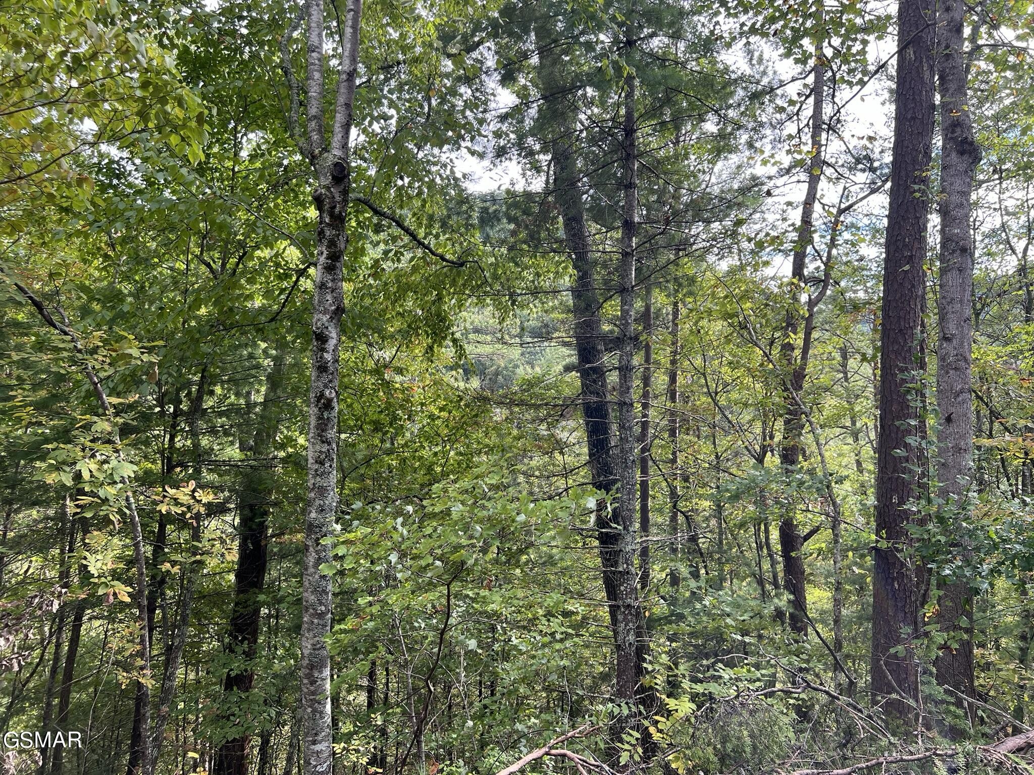 5 Sunset Road Sevierville, TN 37862 - Photo 10 of 15