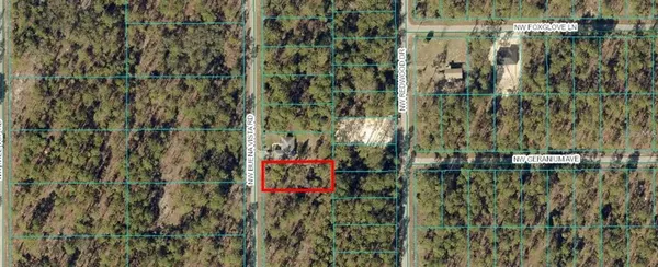 $19,900 | 0 Southwest Buena Vista Road, Dunnellon, FL 34431