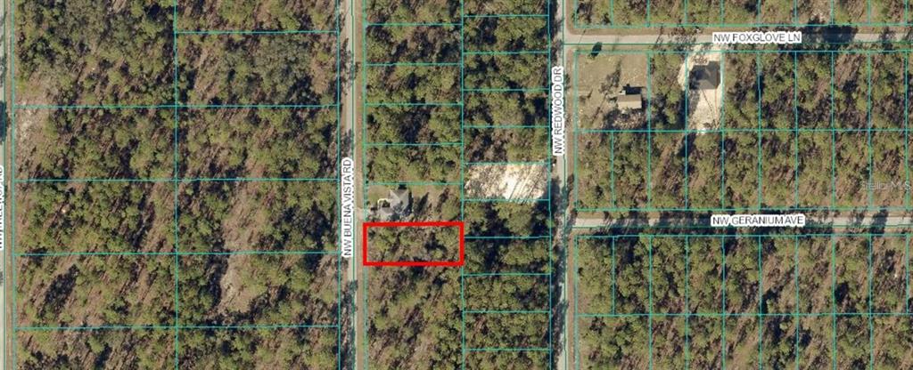 0 Southwest Buena Vista Road Dunnellon, FL 34431 - Photo 1 of 1