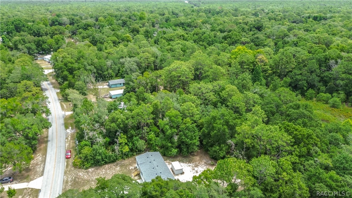 6498 West Rosedale Drive Homosassa, FL 34448 - Photo 39 of 42
