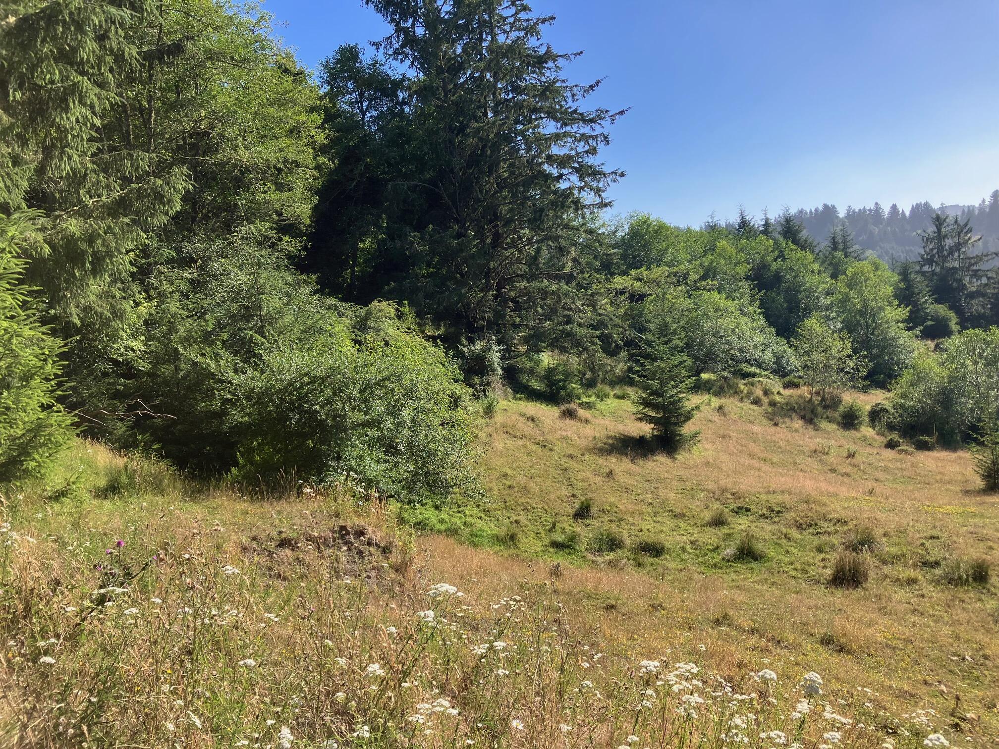 0 Mattole Road Ferndale, CA 95536 - Photo 9 of 10