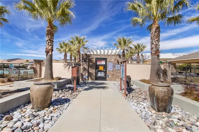 a view of a patio with table and chairs potted plants and palm trees