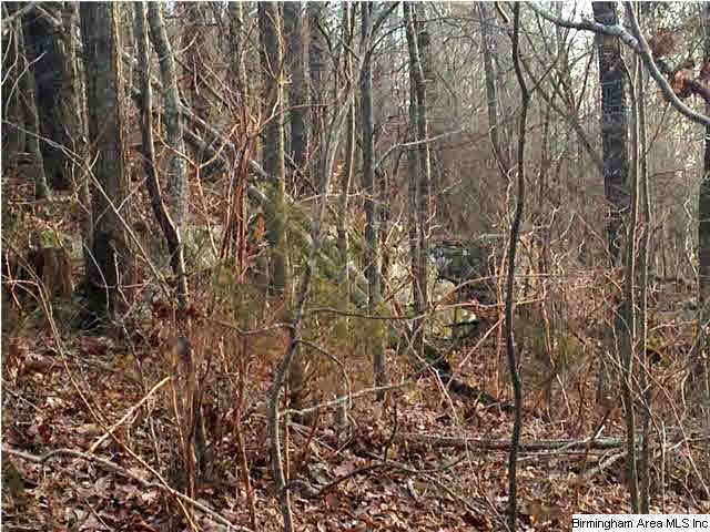 45 County Road, Unit 32 Bremen, AL 35033 - Photo 4 of 9