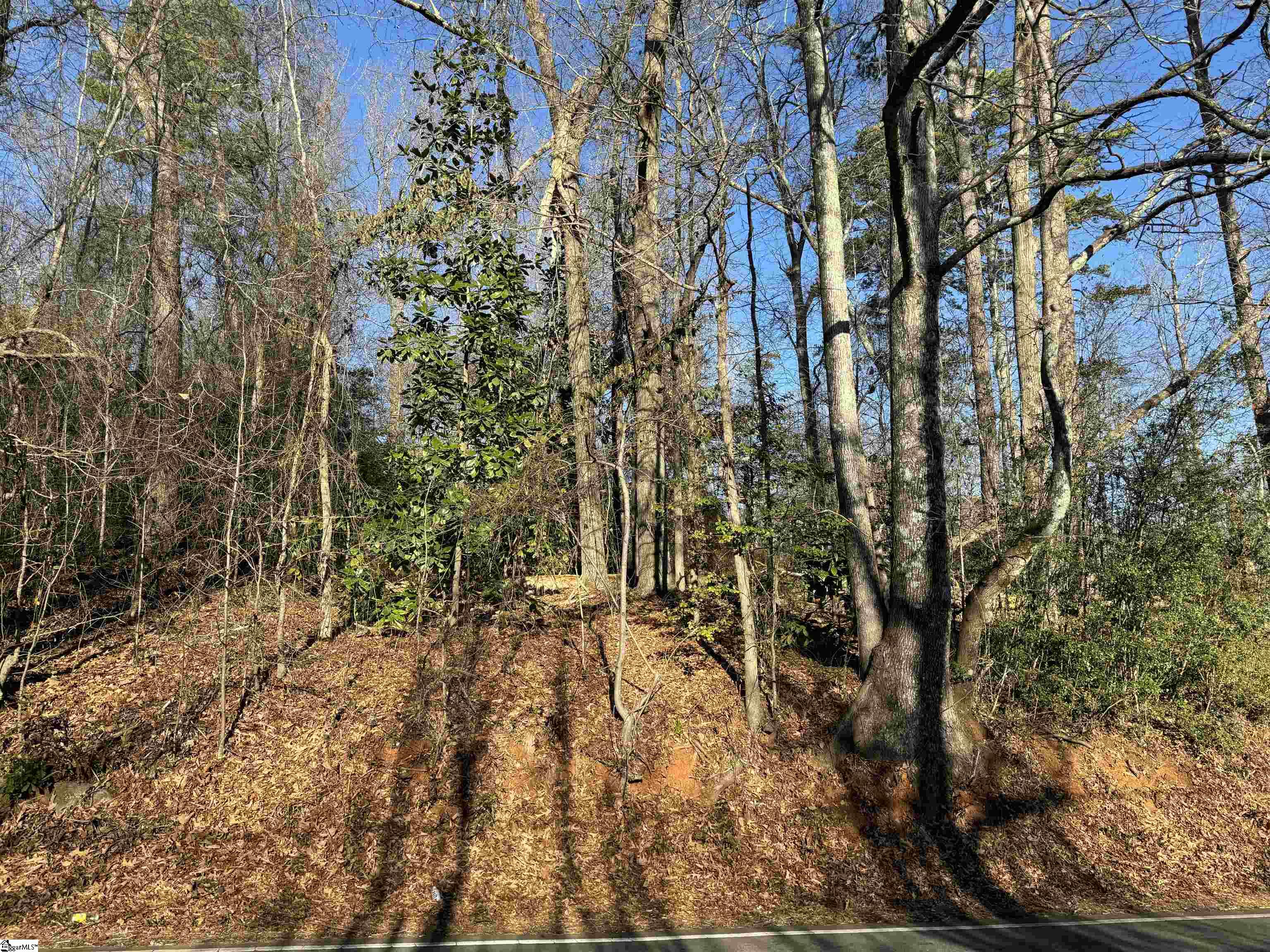 746 Tanner Road Taylors, SC 29687 - Photo 3 of 4