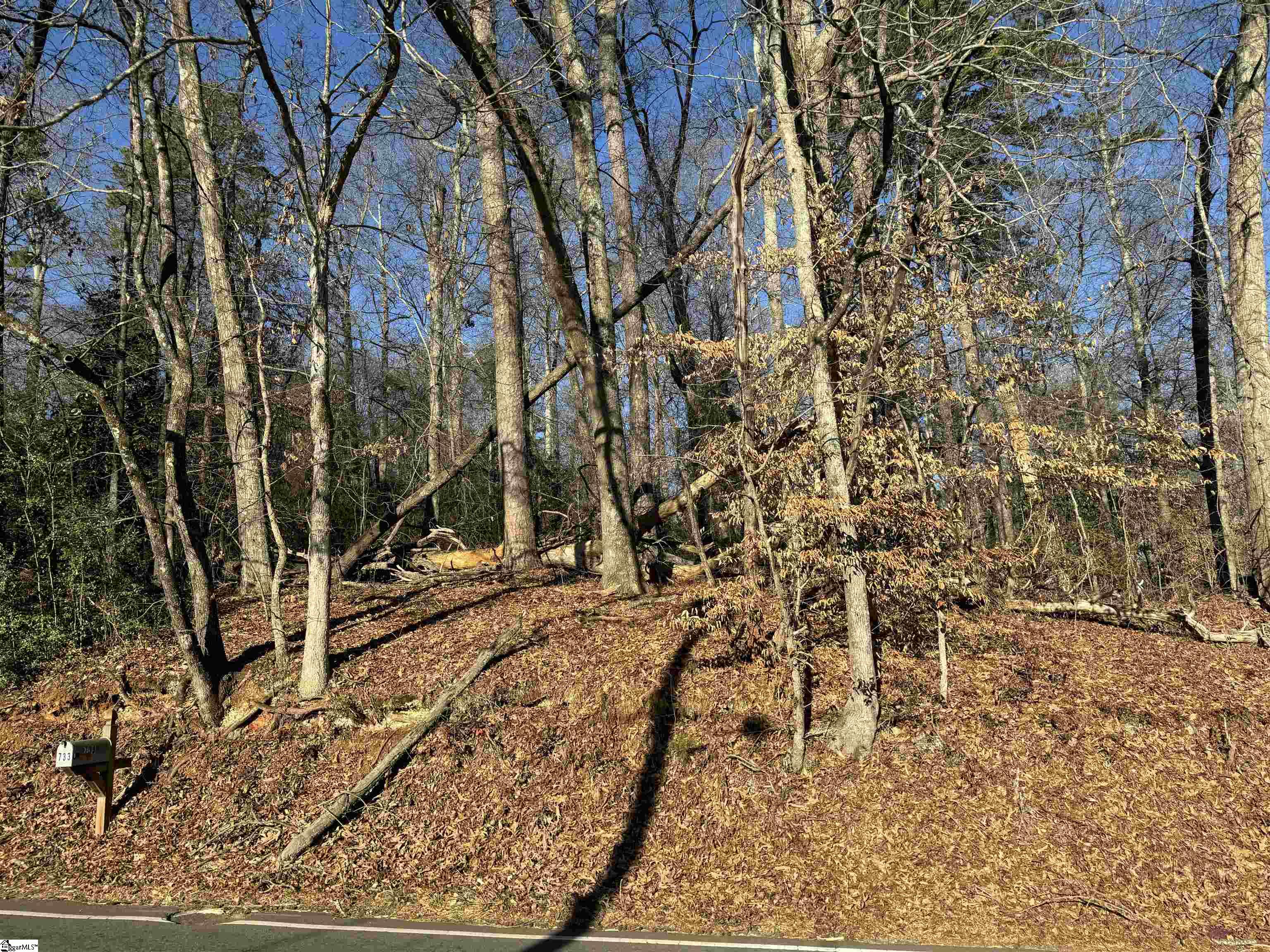 746 Tanner Road Taylors, SC 29687 - Photo 4 of 4