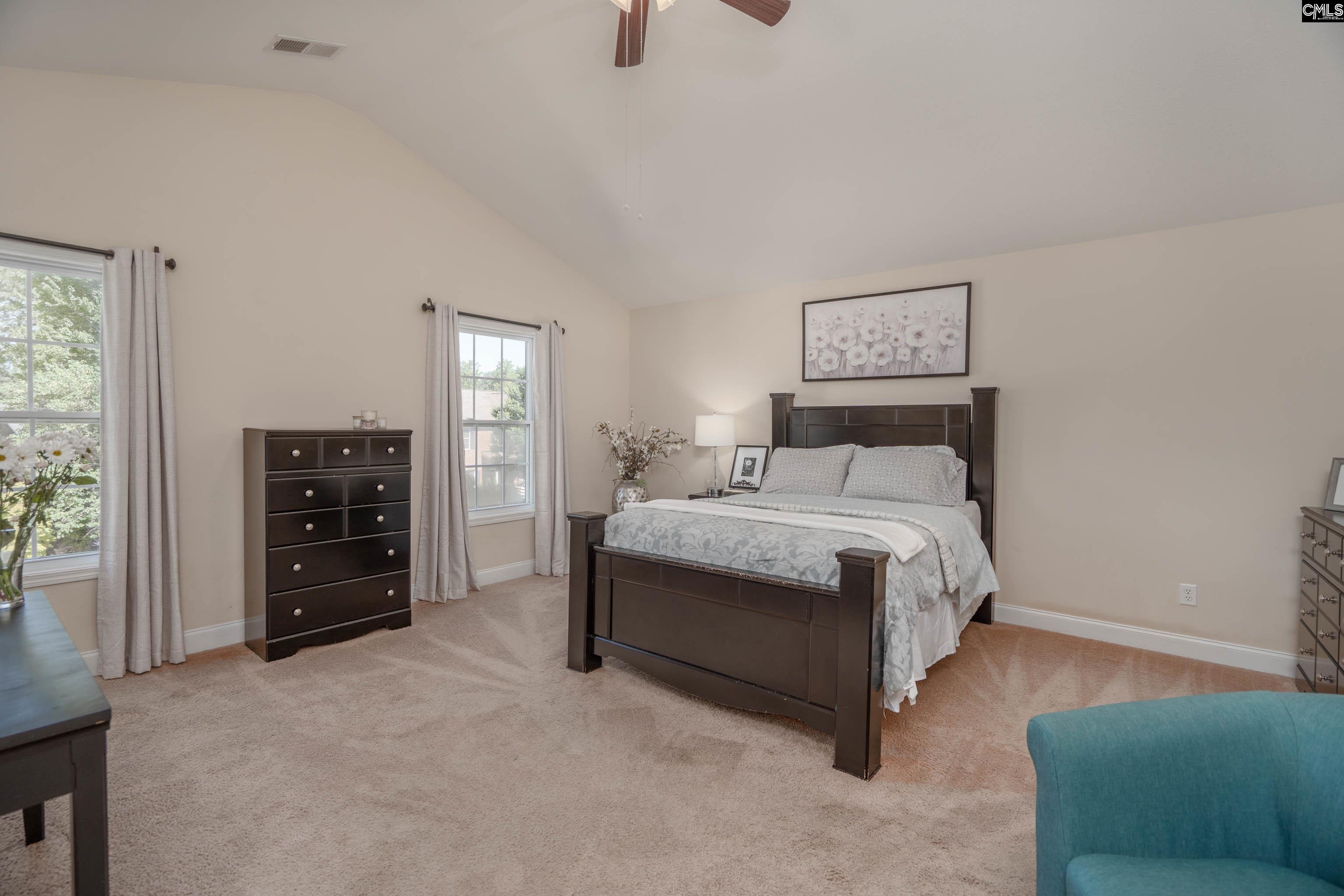133 Palm Street Chapin, SC 29036 - Photo 27 of 37