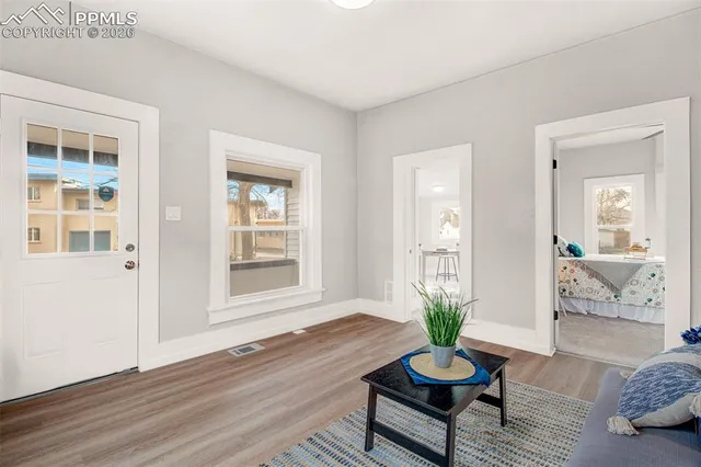 a living room with furniture and a potted plant