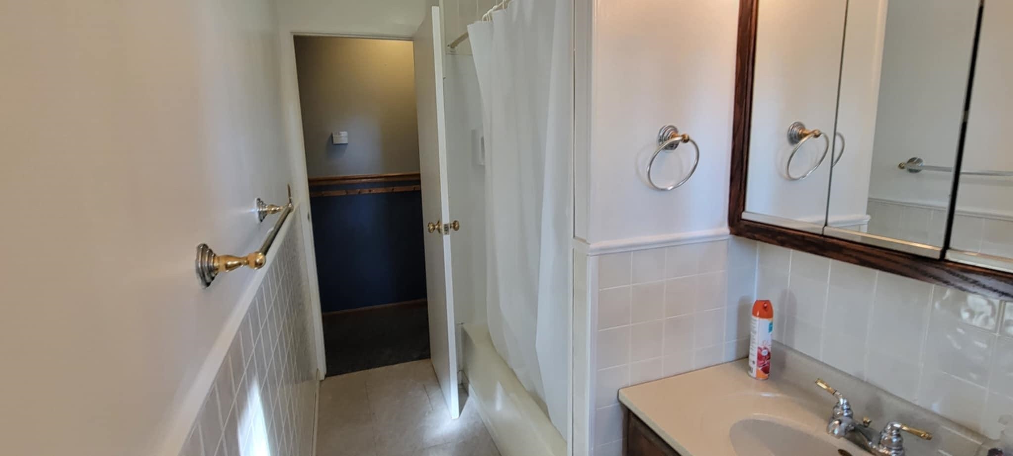 451 Rebecca Road Belvidere, IL 61008 - Photo 25 of 30 a bathroom with a sink and mirror