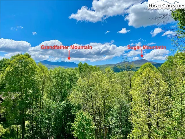 a aerial view of a house with a yard and potted plants